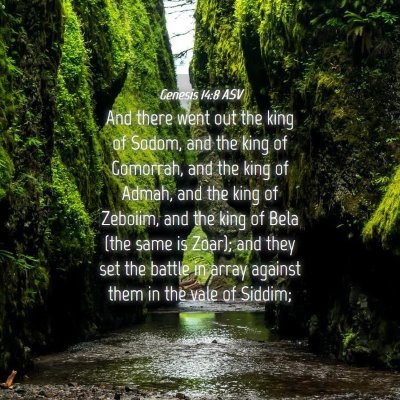 Picture 04 - Genesis 14:8 ASV - And there went out the king of Sodom, and the - Bible Verse Picture