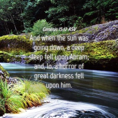Picture 04 - Genesis 15:12 ASV - And when the sun was going down, a deep sleep - Bible Verse Picture