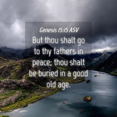 Picture 04 - Genesis 15:15 ASV - But thou shalt go to thy fathers in peace; thou - Bible Verse Picture