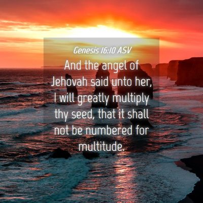 Picture 04 - Genesis 16:10 ASV - And the angel of Jehovah said unto her, I will - Bible Verse Picture