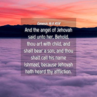 Picture 04 - Genesis 16:11 ASV - And the angel of Jehovah said unto her, Behold, - Bible Verse Picture
