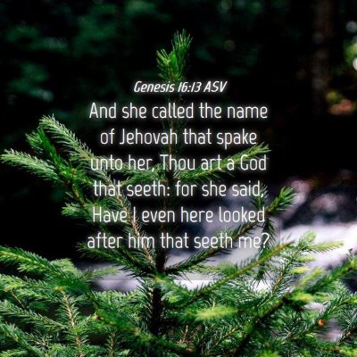 Picture 04 - Genesis 16:13 ASV - And she called the name of Jehovah that spake - Bible Verse Picture