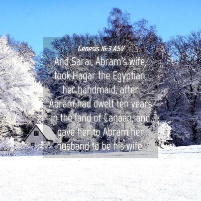 Picture 04 - Genesis 16:3 ASV - And Sarai, Abram's wife, took Hagar the Egyptian, - Bible Verse Picture