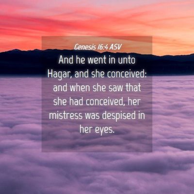 Picture 04 - Genesis 16:4 ASV - And he went in unto Hagar, and she conceived: and - Bible Verse Picture