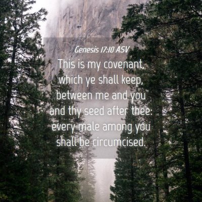 Picture 04 - Genesis 17:10 ASV - This is my covenant, which ye shall keep, between - Bible Verse Picture