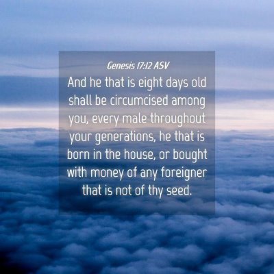 Picture 04 - Genesis 17:12 ASV - And he that is eight days old shall be - Bible Verse Picture