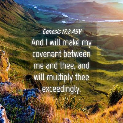Picture 04 - Genesis 17:2 ASV - And I will make my covenant between me and thee, - Bible Verse Picture