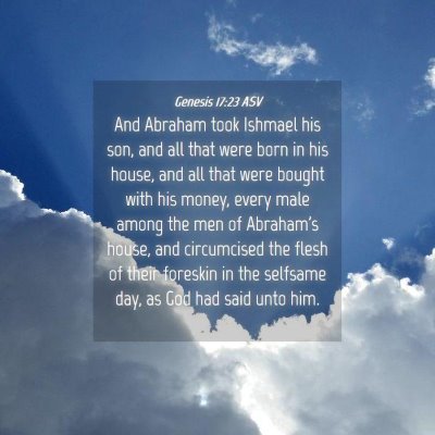 Picture 04 - Genesis 17:23 ASV - And Abraham took Ishmael his son, and all that - Bible Verse Picture