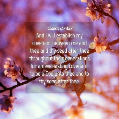 Picture 04 - Genesis 17:7 ASV - And I will establish my covenant between me and - Bible Verse Picture