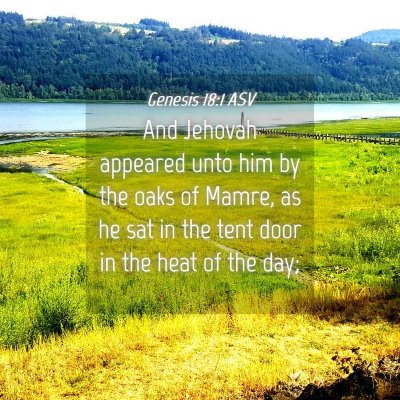 Picture 04 - Genesis 18:1 ASV - And Jehovah appeared unto him by the oaks of - Bible Verse Picture