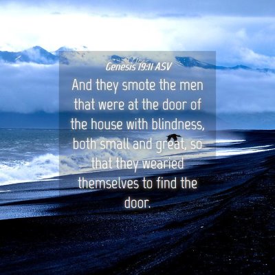 Picture 04 - Genesis 19:11 ASV - And they smote the men that were at the door of - Bible Verse Picture