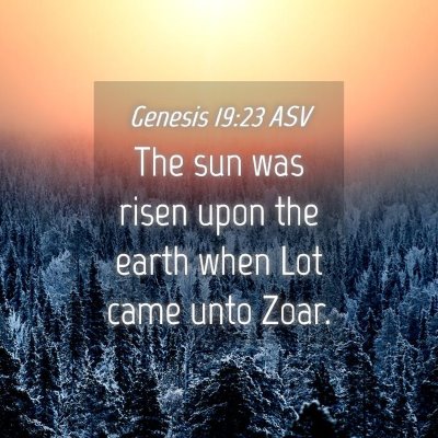 Picture 04 - Genesis 19:23 ASV - The sun was risen upon the earth when Lot came - Bible Verse Picture