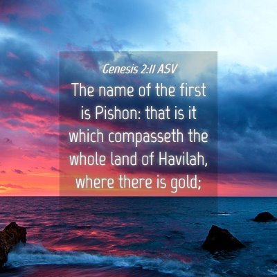 Picture 04 - Genesis 2:11 ASV - The name of the first is Pishon: that is it which - Bible Verse Picture