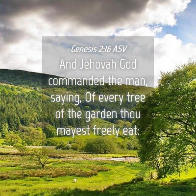 Picture 04 - Genesis 2:16 ASV - And Jehovah God commanded the man, saying, Of - Bible Verse Picture