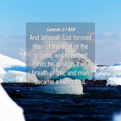 Picture 04 - Genesis 2:7 ASV - And Jehovah God formed man of the dust of the - Bible Verse Picture