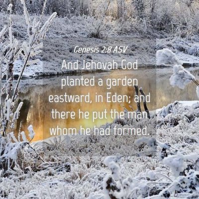 Picture 04 - Genesis 2:8 ASV - And Jehovah God planted a garden eastward, in - Bible Verse Picture