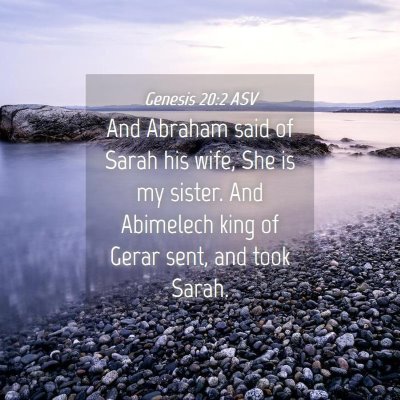 Picture 04 - Genesis 20:2 ASV - And Abraham said of Sarah his wife, She is my - Bible Verse Picture