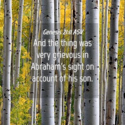 Picture 04 - Genesis 21:11 ASV - And the thing was very grievous in Abraham's - Bible Verse Picture