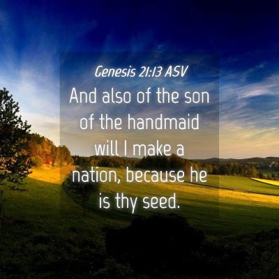 Picture 04 - Genesis 21:13 ASV - And also of the son of the handmaid will I make a - Bible Verse Picture
