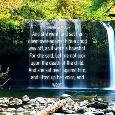 Picture 04 - Genesis 21:16 ASV - And she went, and sat her down over against him a - Bible Verse Picture