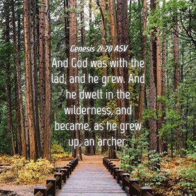 Picture 04 - Genesis 21:20 ASV - And God was with the lad, and he grew. And he - Bible Verse Picture