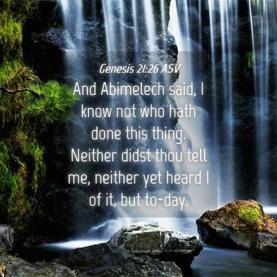 Picture 04 - Genesis 21:26 ASV - And Abimelech said, I know not who hath done this - Bible Verse Picture