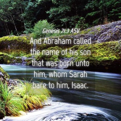Picture 04 - Genesis 21:3 ASV - And Abraham called the name of his son that was - Bible Verse Picture