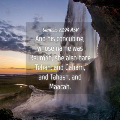 Picture 04 - Genesis 22:24 ASV - And his concubine, whose name was Reumah, she - Bible Verse Picture
