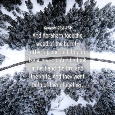 Picture 04 - Genesis 22:6 ASV - And Abraham took the wood of the burnt-offering, - Bible Verse Picture