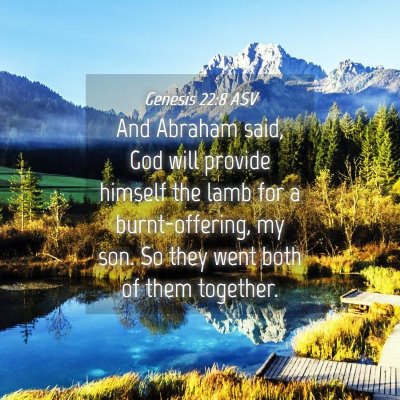 Picture 04 - Genesis 22:8 ASV - And Abraham said, God will provide himself the - Bible Verse Picture