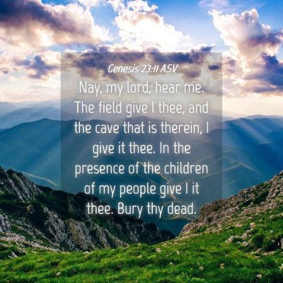 Picture 04 - Genesis 23:11 ASV - Nay, my lord, hear me. The field give I thee, and - Bible Verse Picture