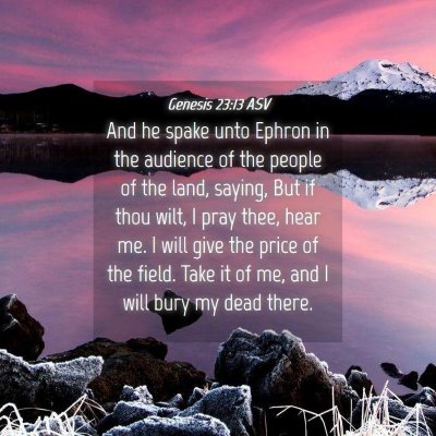 Picture 04 - Genesis 23:13 ASV - And he spake unto Ephron in the audience of the - Bible Verse Picture