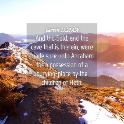 Picture 04 - Genesis 23:20 ASV - And the field, and the cave that is therein, were - Bible Verse Picture