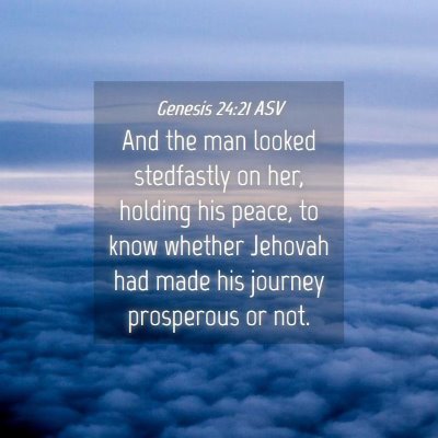 Picture 04 - Genesis 24:21 ASV - And the man looked stedfastly on her, holding his - Bible Verse Picture