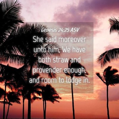 Picture 04 - Genesis 24:25 ASV - She said moreover unto him, We have both straw - Bible Verse Picture