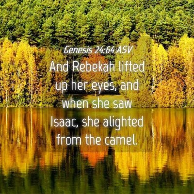 Picture 04 - Genesis 24:64 ASV - And Rebekah lifted up her eyes, and when she saw - Bible Verse Picture
