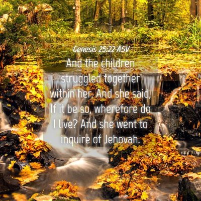 Picture 04 - Genesis 25:22 ASV - And the children struggled together within her. - Bible Verse Picture