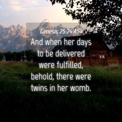 Picture 04 - Genesis 25:24 ASV - And when her days to be delivered were fulfilled, - Bible Verse Picture
