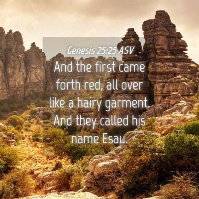 Picture 04 - Genesis 25:25 ASV - And the first came forth red, all over like a - Bible Verse Picture