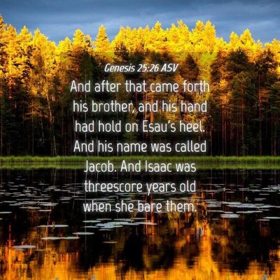 Picture 04 - Genesis 25:26 ASV - And after that came forth his brother, and his - Bible Verse Picture