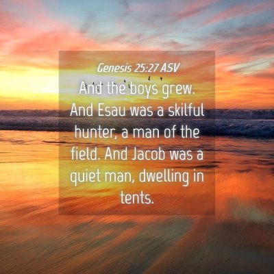 Picture 04 - Genesis 25:27 ASV - And the boys grew. And Esau was a skilful hunter, - Bible Verse Picture