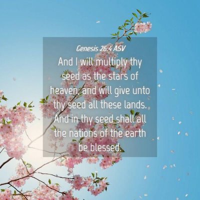 Picture 04 - Genesis 26:4 ASV - And I will multiply thy seed as the stars of - Bible Verse Picture