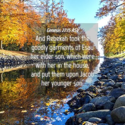Picture 04 - Genesis 27:15 ASV - And Rebekah took the goodly garments of Esau her - Bible Verse Picture