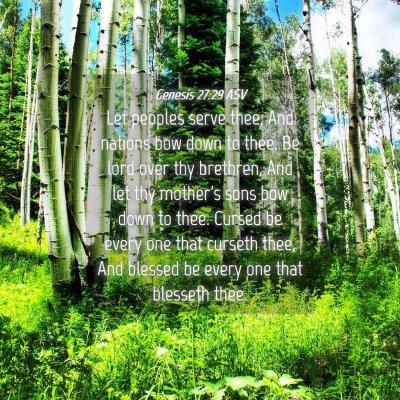 Picture 04 - Genesis 27:29 ASV - Let peoples serve thee, And nations bow down to - Bible Verse Picture
