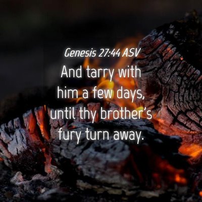 Picture 04 - Genesis 27:44 ASV - And tarry with him a few days, until thy - Bible Verse Picture