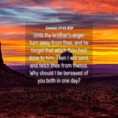 Picture 04 - Genesis 27:45 ASV - Until thy brother's anger turn away from thee, - Bible Verse Picture