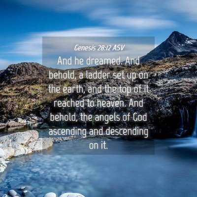Picture 04 - Genesis 28:12 ASV - And he dreamed. And behold, a ladder set up on - Bible Verse Picture