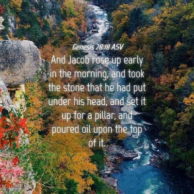 Picture 04 - Genesis 28:18 ASV - And Jacob rose up early in the morning, and took - Bible Verse Picture