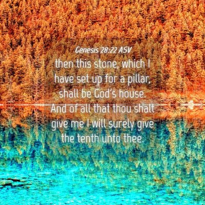 Picture 04 - Genesis 28:22 ASV - then this stone, which I have set up for a - Bible Verse Picture