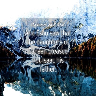 Picture 04 - Genesis 28:8 ASV - And Esau saw that the daughters of Canaan pleased - Bible Verse Picture